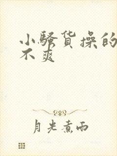 小骚货操的你爽不爽封面