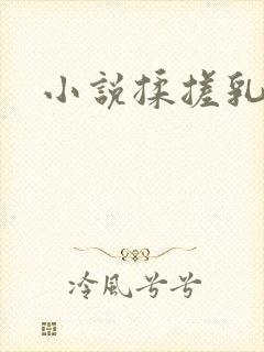 小说揉搓乳尖封面