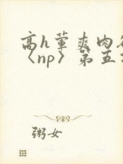 高h荤爽肉欲文〈np〉第五次