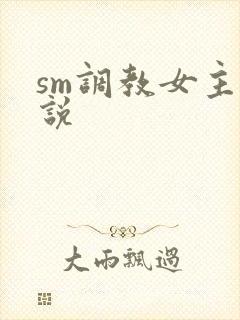 sm调教女主小说