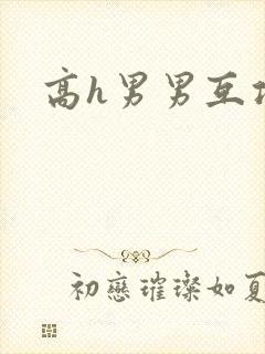 高h男男互攻封面