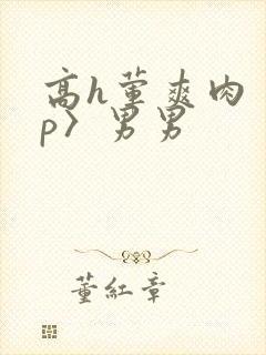 高h荤爽肉〈np〉男男