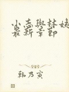 小志与林姨小说最新章节