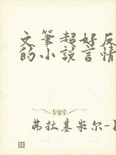 文笔超好反复看的小说言情封面