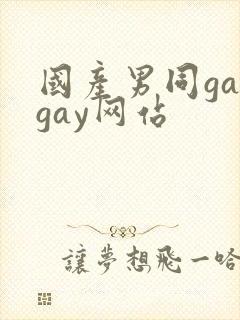 国产男同gaygay网站封面