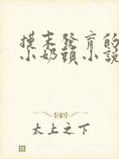 摸末发育的学生小奶头小说封面