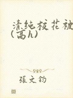 清纯校花被调教(高h)