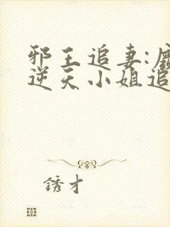 邪王追妻:废材逆天小姐追书封面