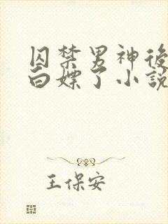 囚禁男神后我被白嫖了小说