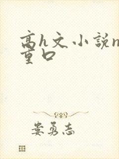 高h文小说np重口