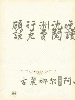 顾行洲沈晚宁小说免费阅读最新章节