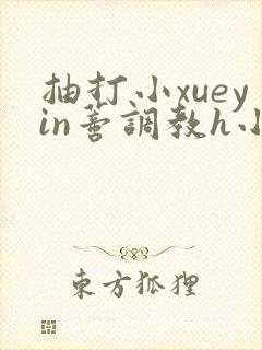 抽打小xueyin蒂调教h小说封面