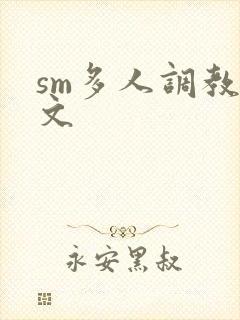 sm多人调教h文封面
