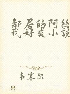 邻居的阿丝袜让我好爽小说封面