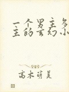 一个男主多个女主的玄幻小说