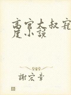 高官大叔宠妻无度小说