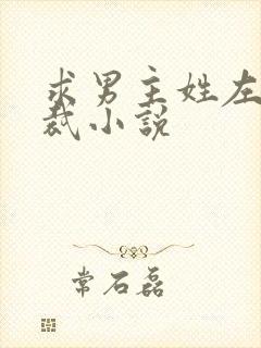 求男主姓左的总裁小说