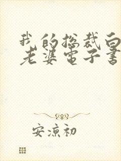 我的总裁白富美老婆电子书完整版封面