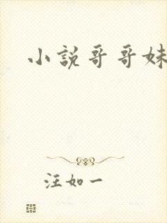 小说哥哥妹妹h