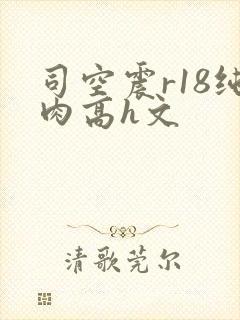 司空震r18纯肉高h文