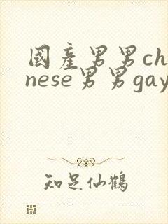 国产男男chinese男男gaygay网站