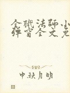 全职法师小说无弹窗全文免费阅读