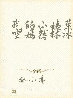 我的小姨叶凡司空嫣然林冰封面