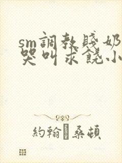 sm调教贱奶头哭叫求饶小说