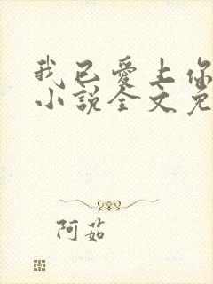 我已爱上你陈超小说全文免费阅读