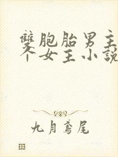 双胞胎男主和一个女主小说