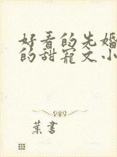 好看的先婚后爱的甜宠文小说