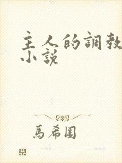 主人的调教sm小说封面