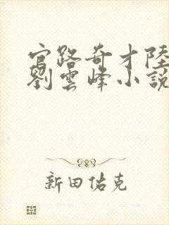 官路奇才陆羽和刘云峰小说封面