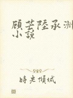 顾芒陆承洲免费小说