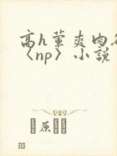 高h荤爽肉欲文〈np〉小说