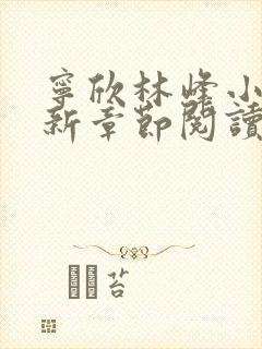 宁欣林峰小说最新章节阅读