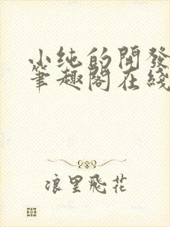 小纯的开发日记笔趣阁在线阅读