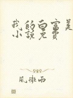 我的白富美老婆小说免费