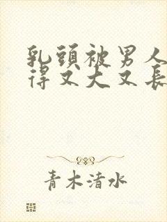 乳头被男人吸吮得又大又长封面