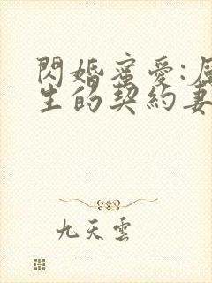 闪婚蜜爱:厉先生的契约妻