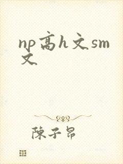 np高h文sm文