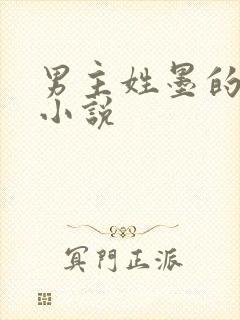 男主姓墨的总裁小说