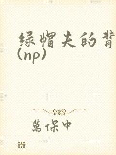 绿帽夫的背德妻(np)