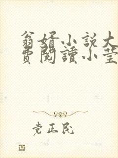 翁婿小说大全免费阅读小莹封面