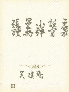 张曼小说免费阅读无弹窗最新章节