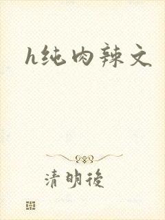 h纯肉辣文