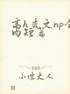 高h爽文np全肉短篇封面