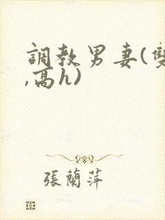 调教男妻(双性,高h)封面