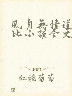 风月无情道比卡比小说全文免费阅读笔趣阁封面