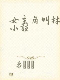 女主角叫林笙的小说